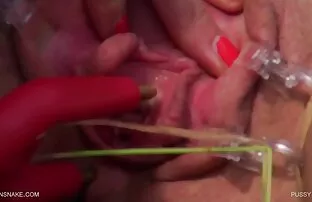 XXX - Product - pussy queensnake.Com - queensect.Com סקס שמנות חינם
