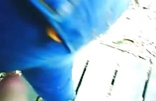XXX עיסוי ישבנים סיני. סרטים ארוטים לצפיה