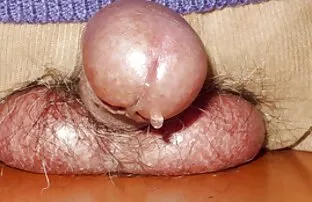 XXX זין זקוף יפני מקרוב מראה סרטי סקס שמנות חינם
